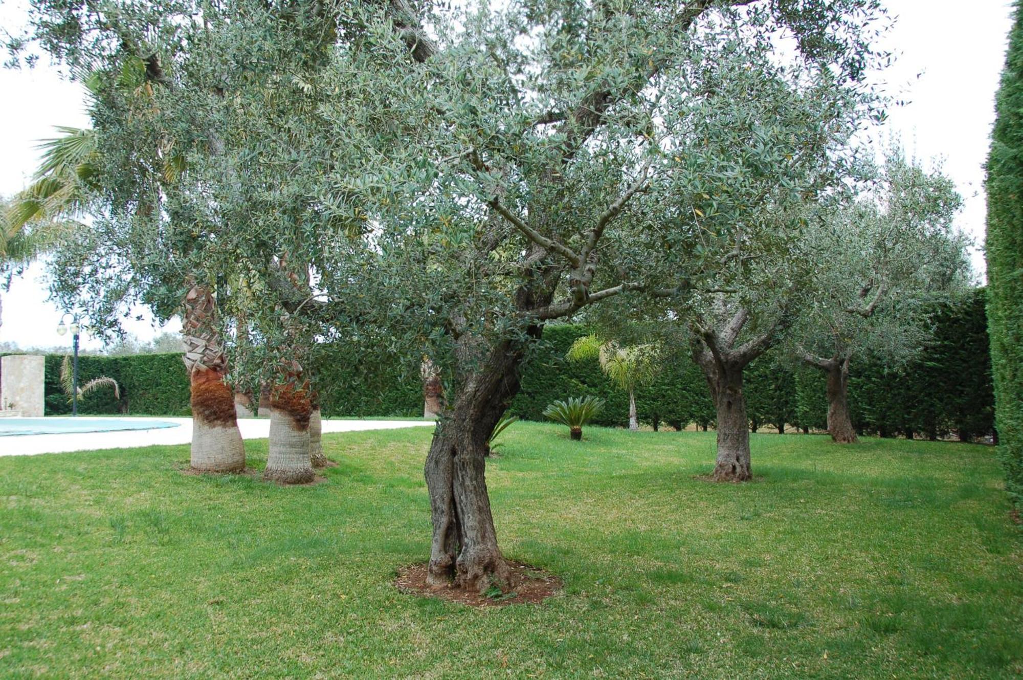 B&B Villa Vittoria Maglie Kültér fotó